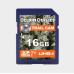 Delkin SDHC Trail Cam R100/W30 (V10) 16GB