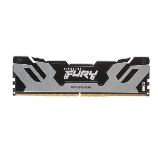 KINGSTON DIMM DDR5 16GB 6400MT/s CL32 FURY Renegade Stříbrná