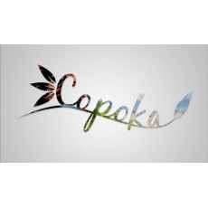 Copoka (PC) klíč Steam
