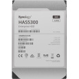 Synology HDD HAS5300-12T (12TB, SAS 12Gb/s, 256MiB)