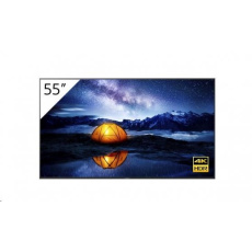 SONY 55'' 4K 24/7 Professional BRAVIA without Tuner, HAZE SONY 55'' 4K 24/7 Professional BRAVIA without Tuner, HAZE