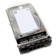 DELL HDD 4TB Hard Drive NLSAS 12Gbps 7.2K 512n 3.5in Hot-Plug Customer Kit